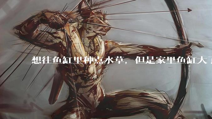 想往鱼缸里种点水草，但是家里鱼缸大了买水草泥或者底砂太贵了，有没有生活中可以替代的物品或其他建议？