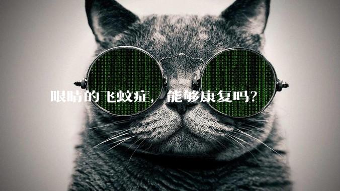 眼睛的飞蚊症，能够康复吗？