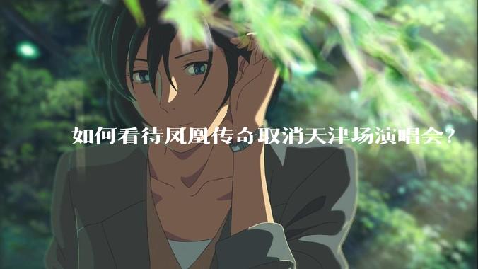 如何看待凤凰传奇取消天津场演唱会？