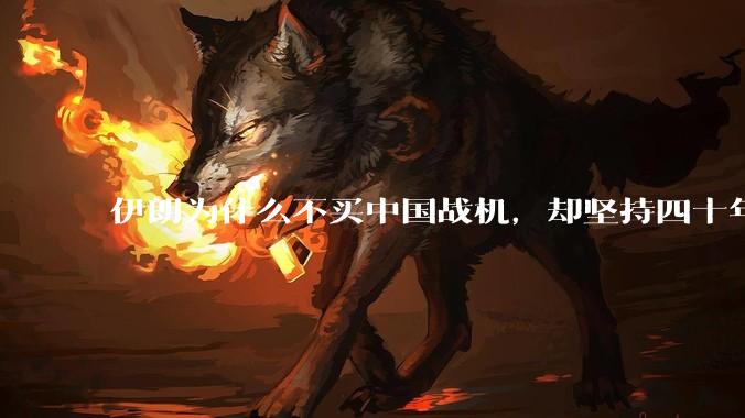 伊朗为什么不买中国战机，却坚持四十年用老旧的苏联米格29、美国F14雄猫战斗机?
